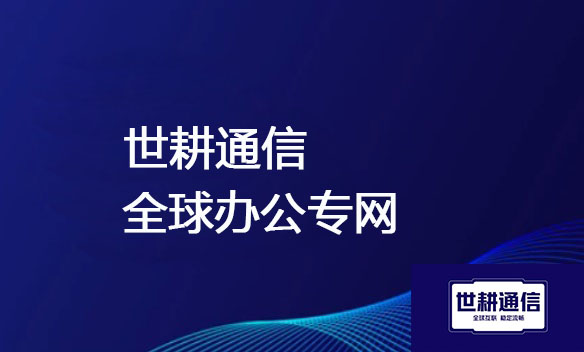 SD-WAN构建案例：实现国内公司与AWS海外区域资源的可靠连接？？？解决方案//世耕通信ERP、OA专网服务商