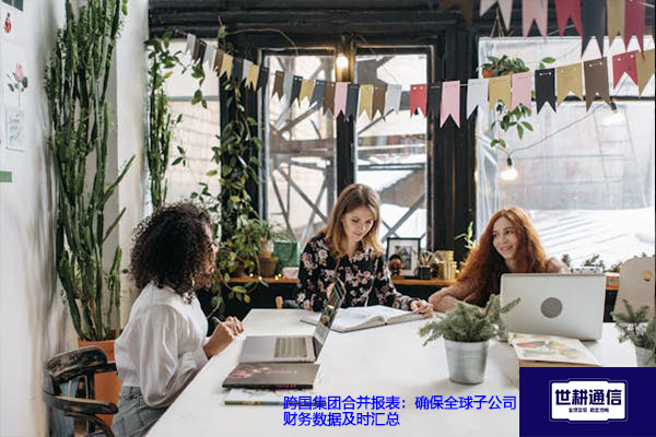 跨国集团合并报表：确保全球子公司财务数据及时汇总---解决方案//世耕通信全球办公专网专线