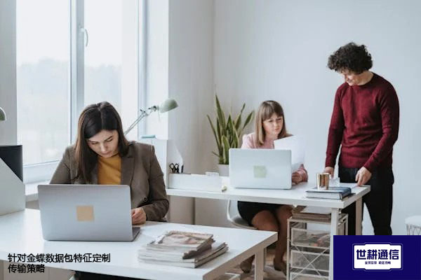 针对金蝶数据包特征定制传输策略--解决方案//世耕通信全球办公专网专线
