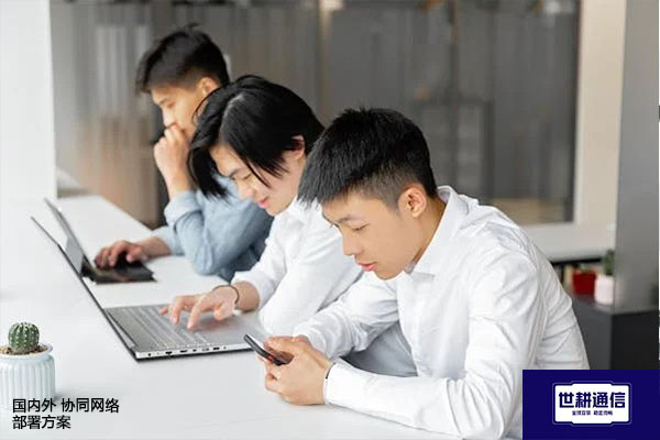 什么是国内外协同网络？国内外 协同网络部署方案--解决方案//世耕通信全球办公专网专线