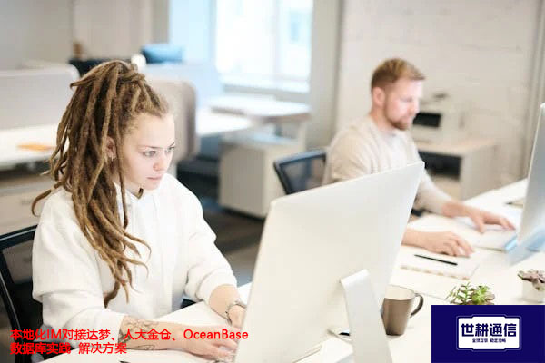 本地化IM对接达梦、人大金仓、OceanBase数据库实践--解决方案//世耕通信  即时通讯（IM）私有化部署