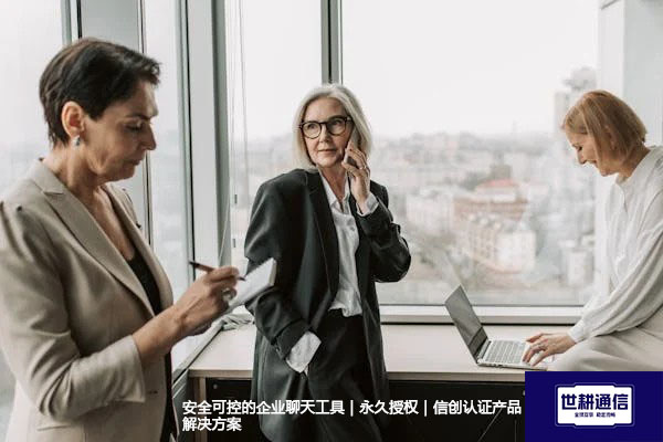 安全可控的企业聊天工具｜永久授权｜信创认证产品--解决方案//世耕通信  即时通讯（IM）私有化部署