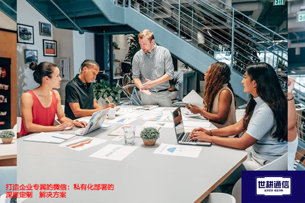 打造企业专属的微信：私有化部署的深度定制--解决方案//世耕通信  即时通讯（IM）私有化部署