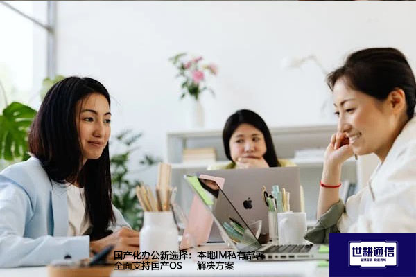 国产化办公新选择：本地IM私有部署全面支持国产OS-解决方案//世耕通信  即时通讯（IM）私有化部署