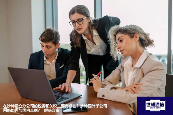 在沙特设立分公司的税务和关税主要有哪些？沙特国外子公司网络如何与国内互联？ --解决方案//世耕通信全球办公专网专线