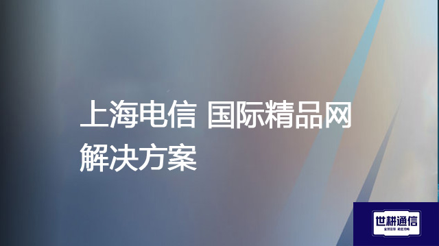 上海电信 国际精品网--解决方案//世耕通信全球办公专网专线