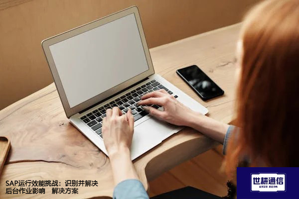 SAP运行效能挑战：识别并解决后台作业影响--解决方案//世耕通信全球办公专网专线