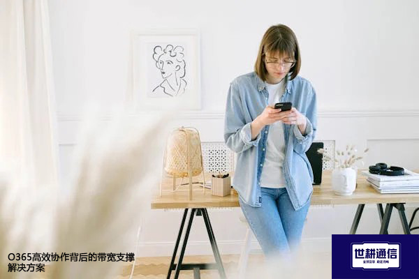 O365高效协作背后的带宽支撑--解决方案//世耕通信全球办公专网专线