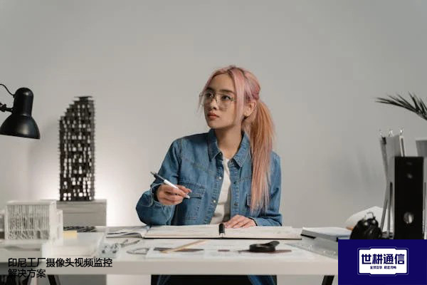 印尼工厂摄像头视频监控解决方案---世耕通信全球视频监控解决方案